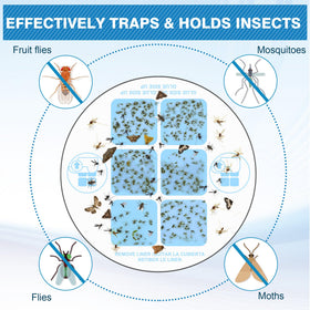 Qualirey glue card being inserted into an insect trap for simple setup.