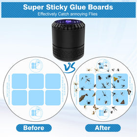 Qualirey glue card removal and replacement process demonstrated.