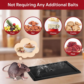 Qualirey glue trap dimensions 10x4.96x0.31 inches for versatile placement.