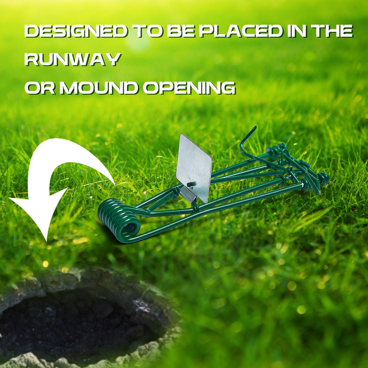 Qualirey gopher trap installed near tunnels with concealed setup