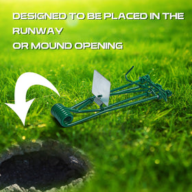 Qualirey gopher trap installed near tunnels with concealed setup