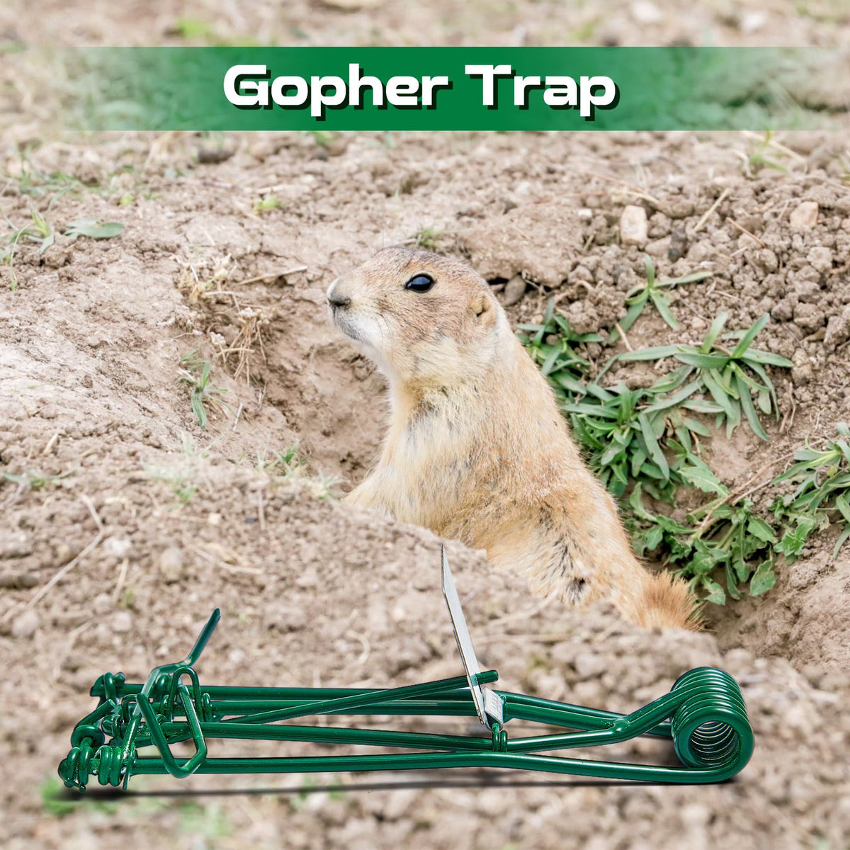 Qualirey gopher trap weather-resistant for outdoor use