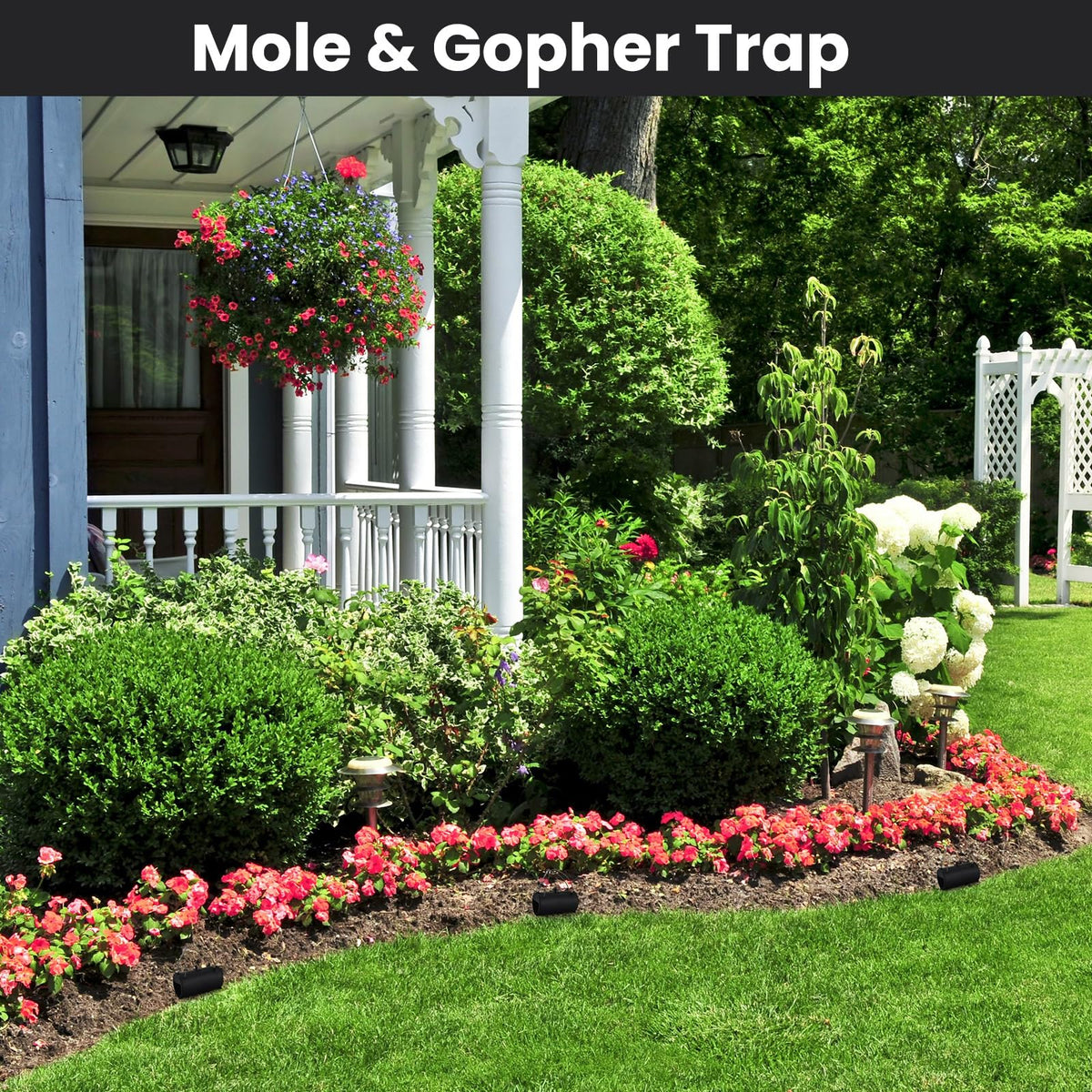 Qualirey Gopher Trap suitable for lawn, garden, and yard applications