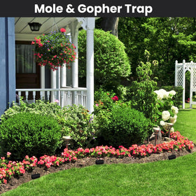 Qualirey Gopher Trap suitable for lawn, garden, and yard applications