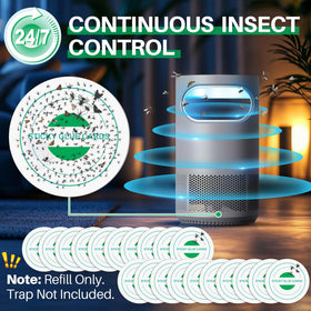 Qualirey glue board in use shows captured insects out of sight for a cleaner home