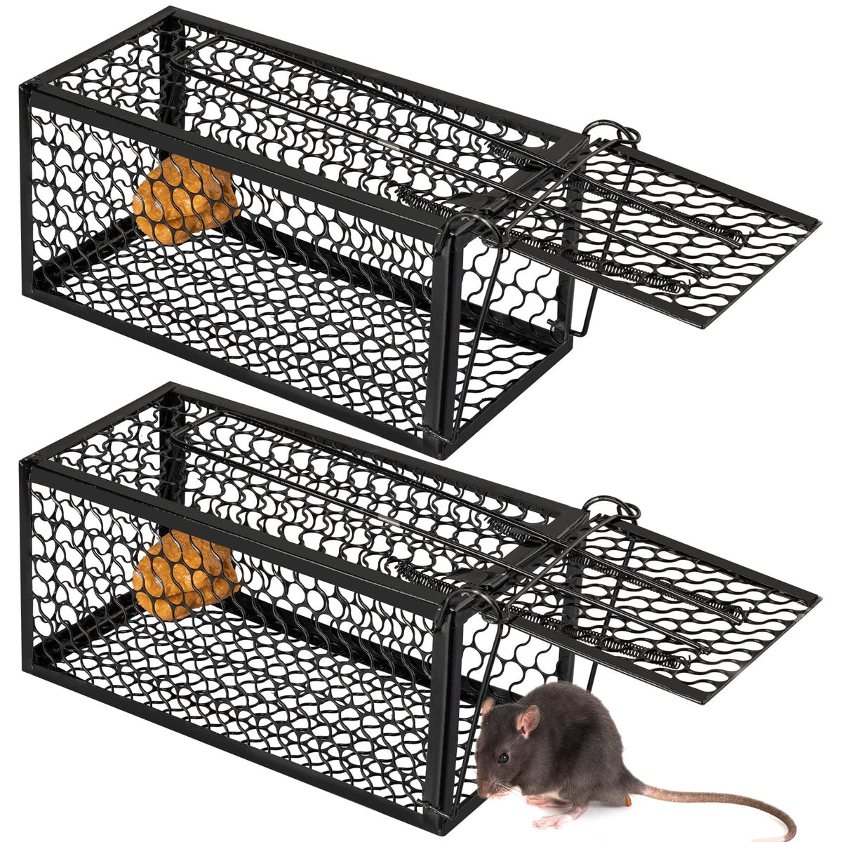 Qualirey humane rat trap side view shows compact design ideal for corners.