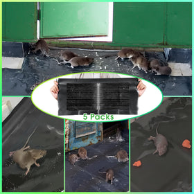 Qualirey indoor outdoor pest trap suitable for home and business.