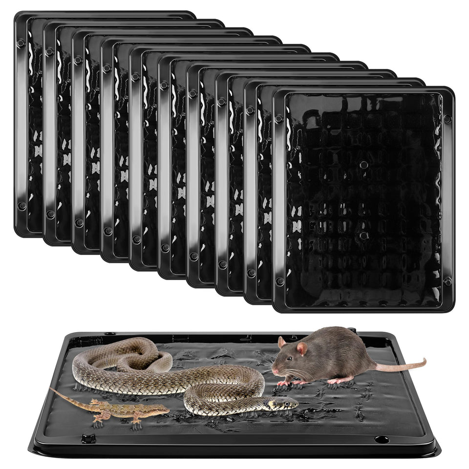 Qualirey jumbo glue trap, large 11.8 x 9.84 inches, captures rodents safely