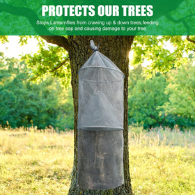 Qualirey trap installed in orchard demonstrating non-toxic pest reduction