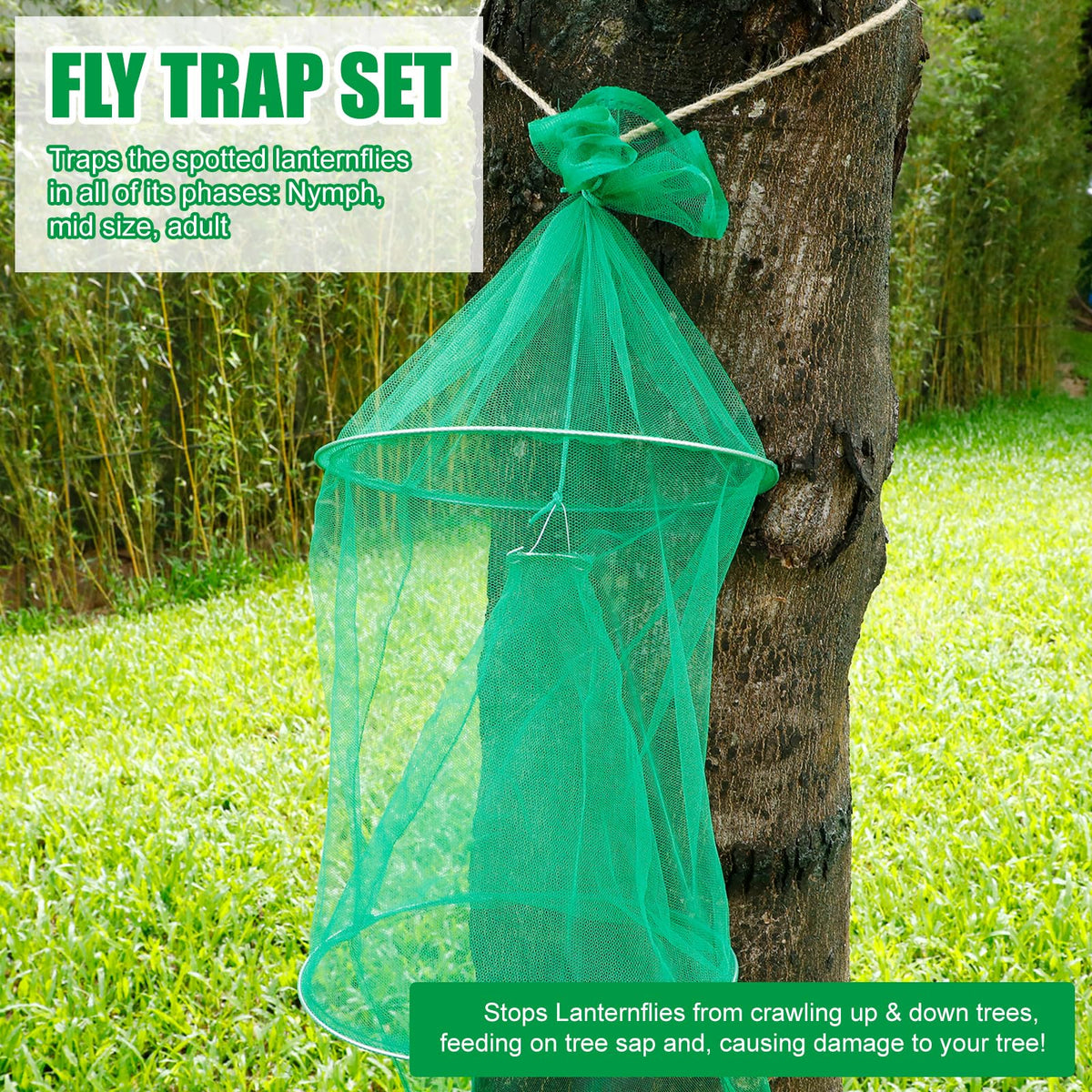 Qualirey multiple traps and taped trees in an orchard protecting fruit trees
