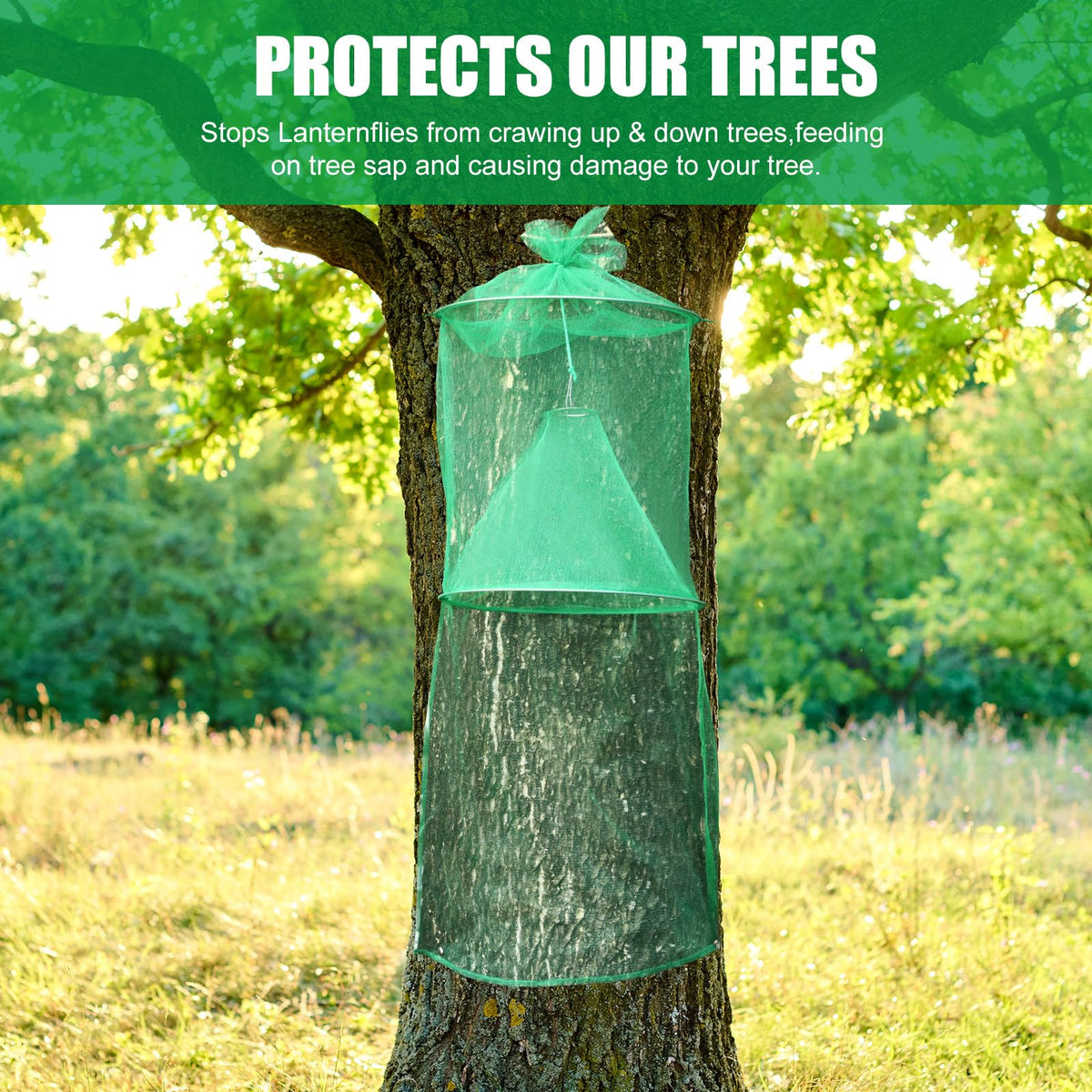 Qualirey multiple traps installed in yard, practical multi-tree protection