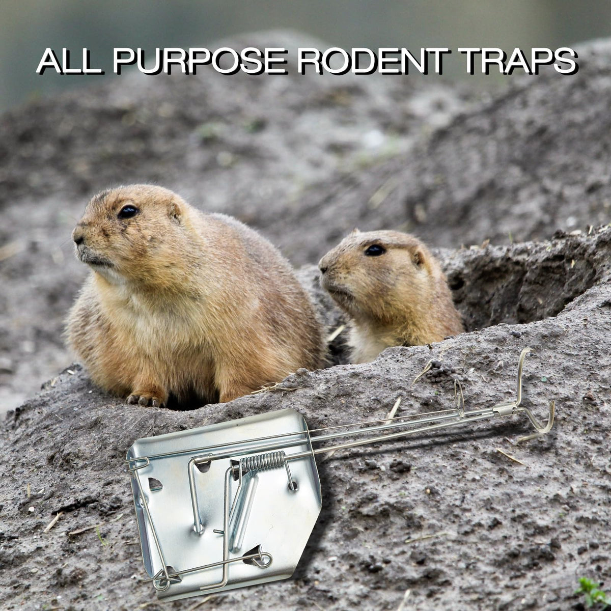 Qualirey traps for yard, farm, and outdoor use