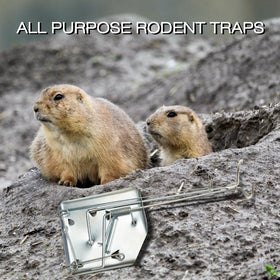 Qualirey traps for yard, farm, and outdoor use