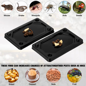 Qualirey plastic glue trap board with durable design for long-lasting use.