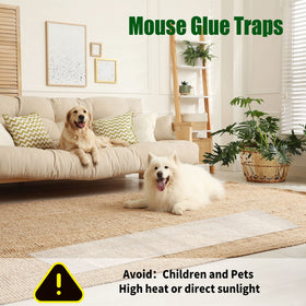 Qualirey safe-materials trap is pet-friendly when used as directed.