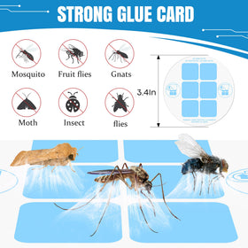 Qualirey non-toxic glue cards are safe for homes with kids and pets