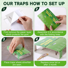 Qualirey trap is non-toxic and odorless for safe homes.