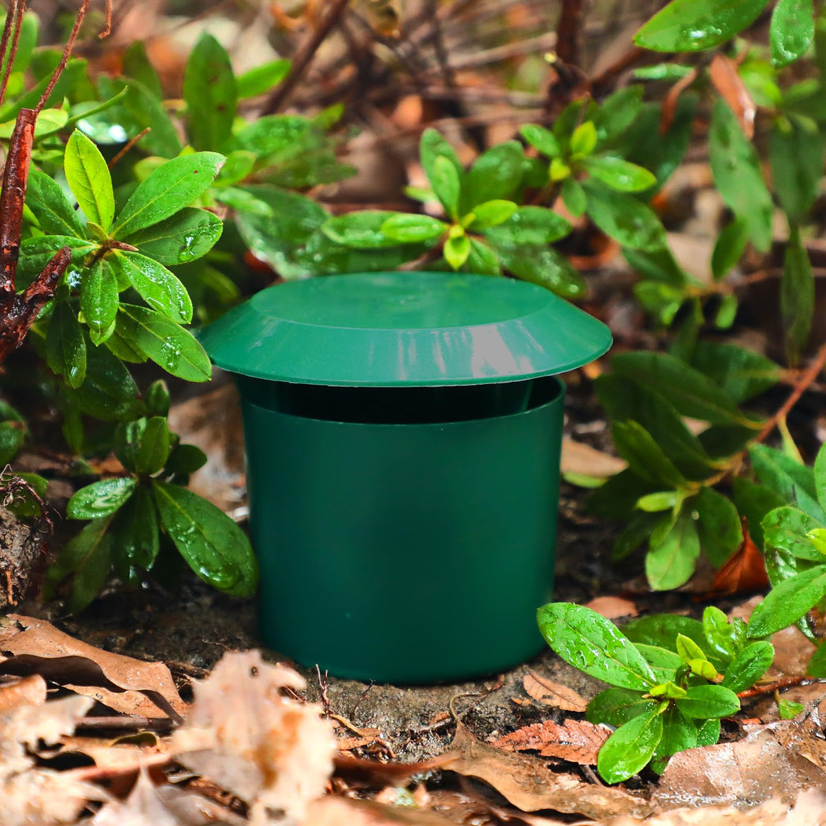 Qualirey snail trap green durable PP construction for long-term outdoor use