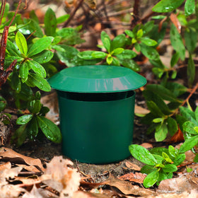 Qualirey snail trap green durable PP construction for long-term outdoor use