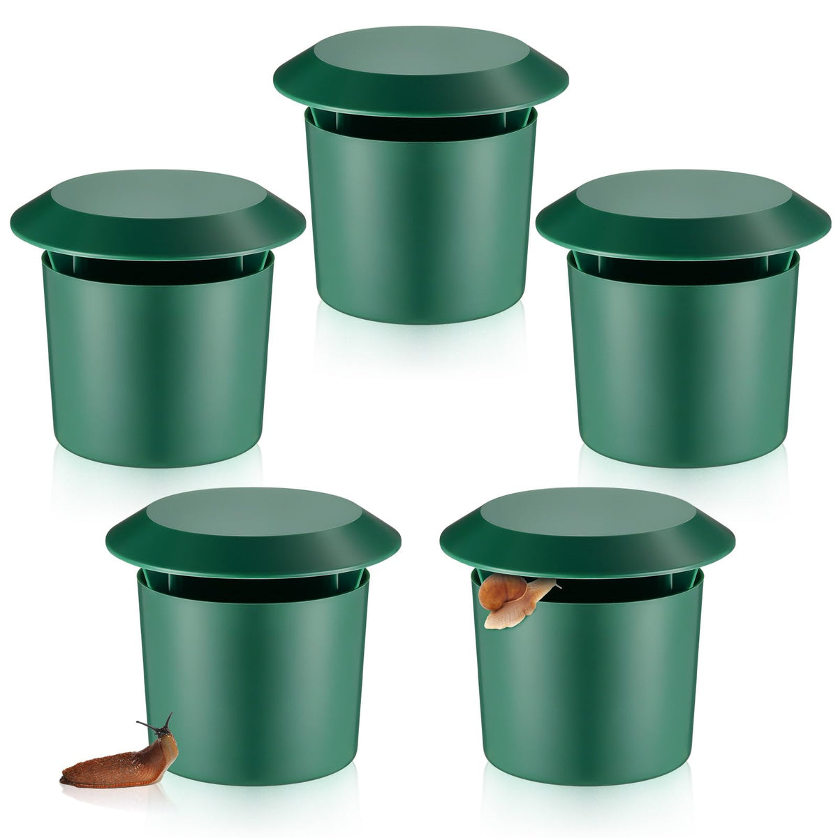 Qualirey snail trap green front view deters slugs in the garden