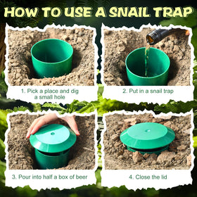 Qualirey snail trap green pack of 5 demonstrates garden value