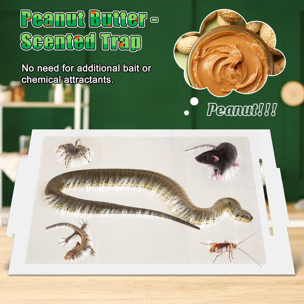 Qualirey snake trap ready to use without bait or chemicals