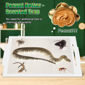 Qualirey snake trap ready to use without bait or chemicals