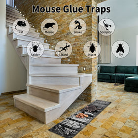 Qualirey sticky-trap center bait area demonstrates easy bait placement and quick attraction.