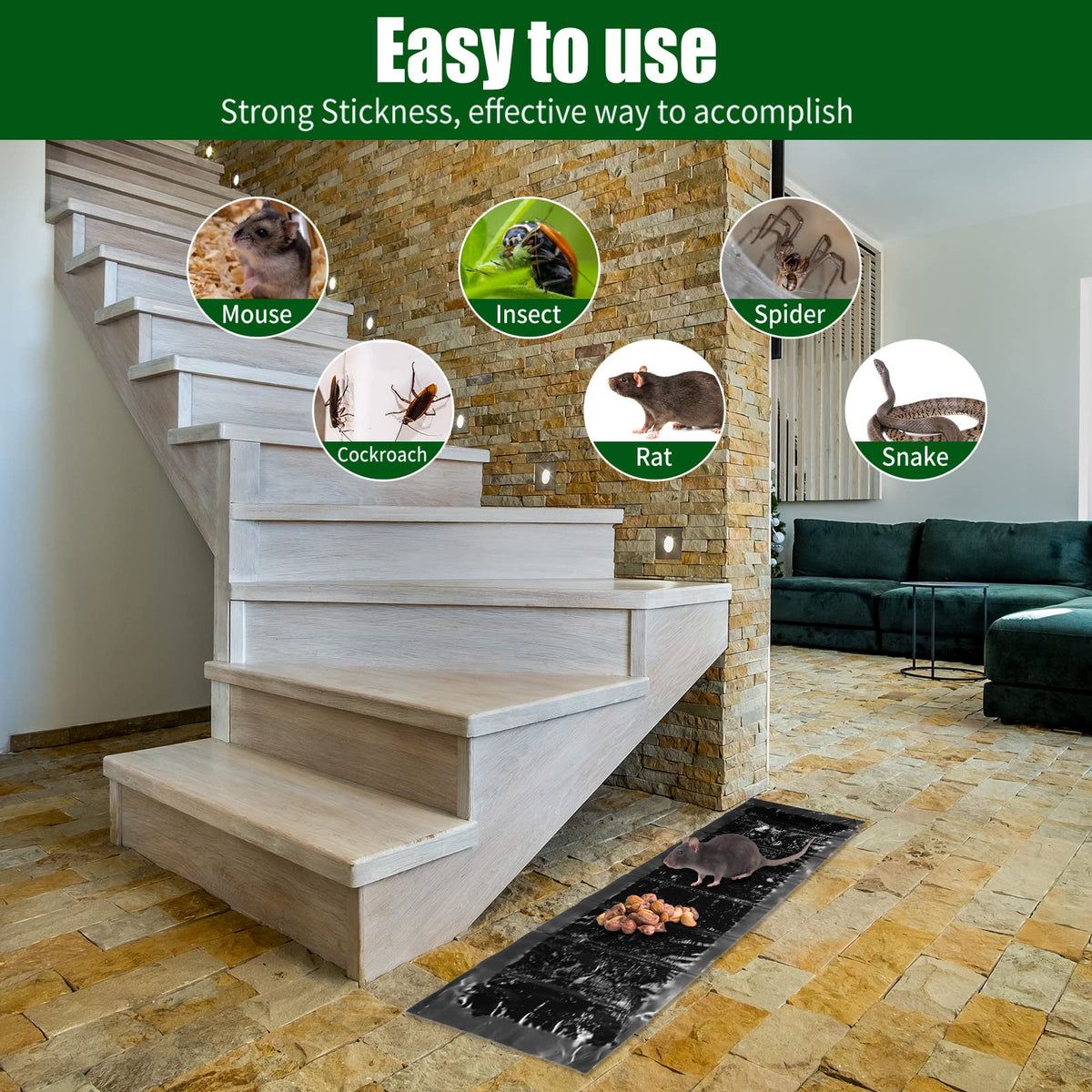 Qualirey trap in a kitchen corner helping maintain cleanliness.