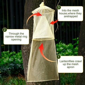 Qualirey trap hung on a tree trunk stopping lanternflies before they reach leaves
