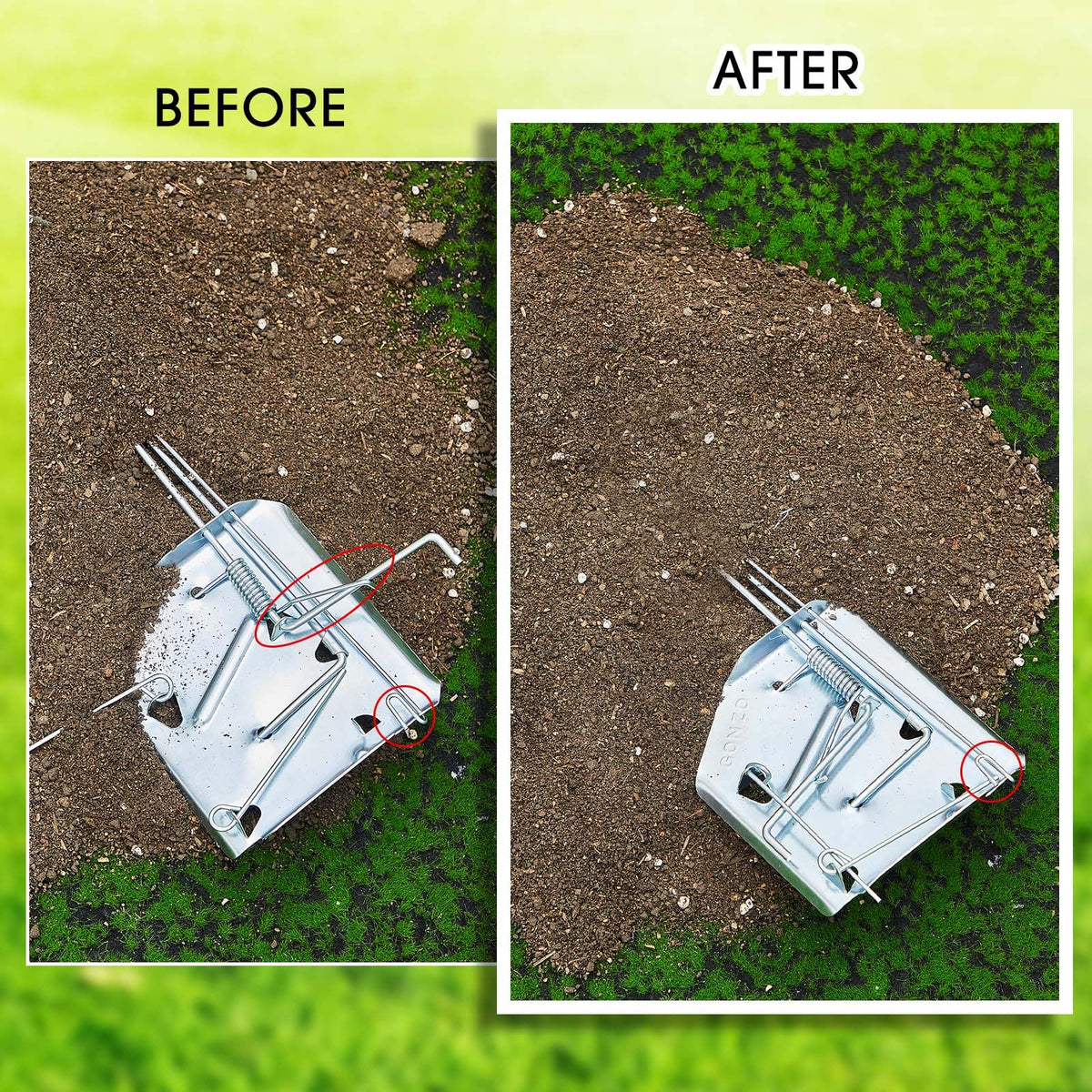 Qualirey trap fits holes up to 2 1/4 inches for efficient capture