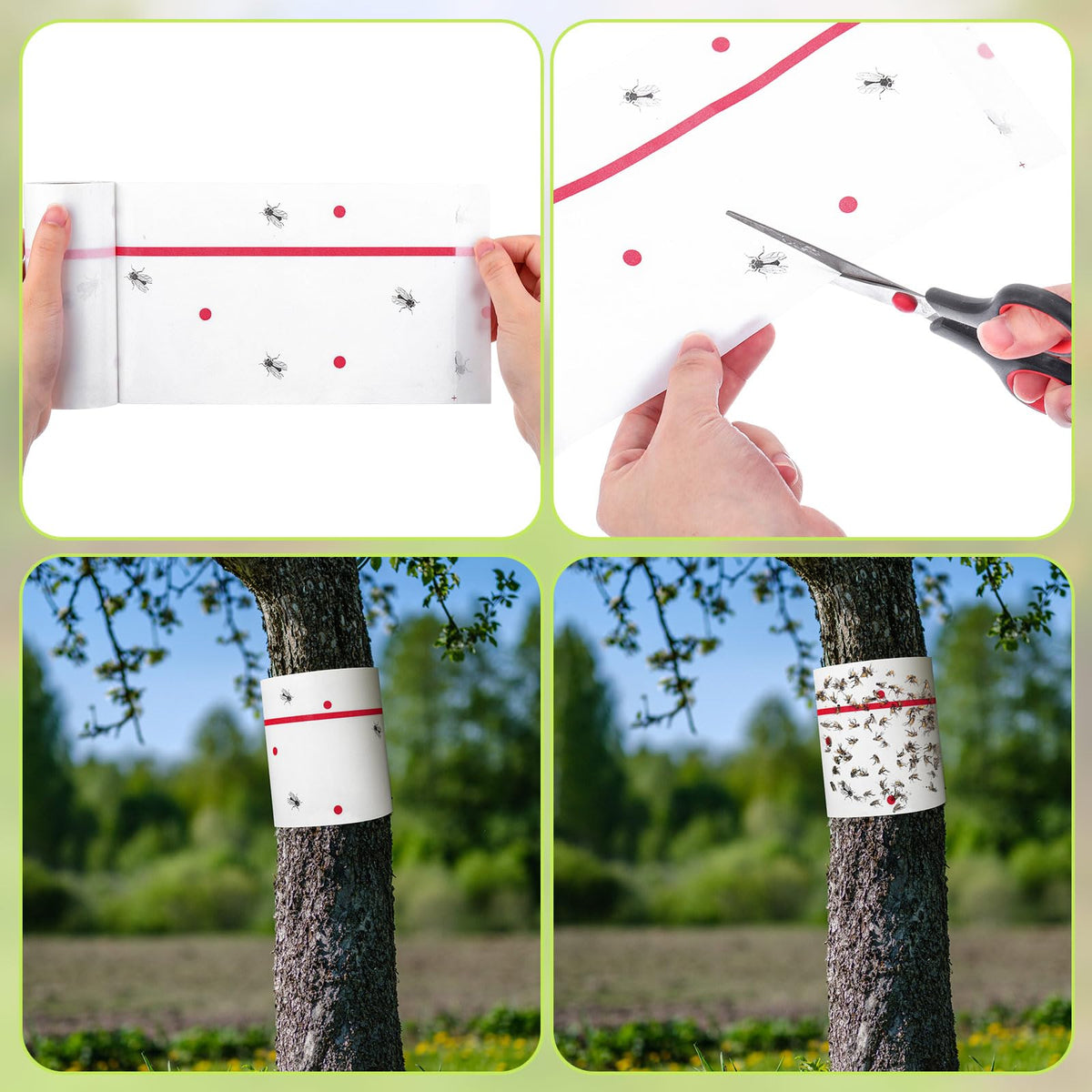 Qualirey waterproof paper trap withstands outdoor conditions for durability.