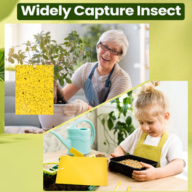 Qualirey waterproof and UV-resistant trap withstands outdoor conditions