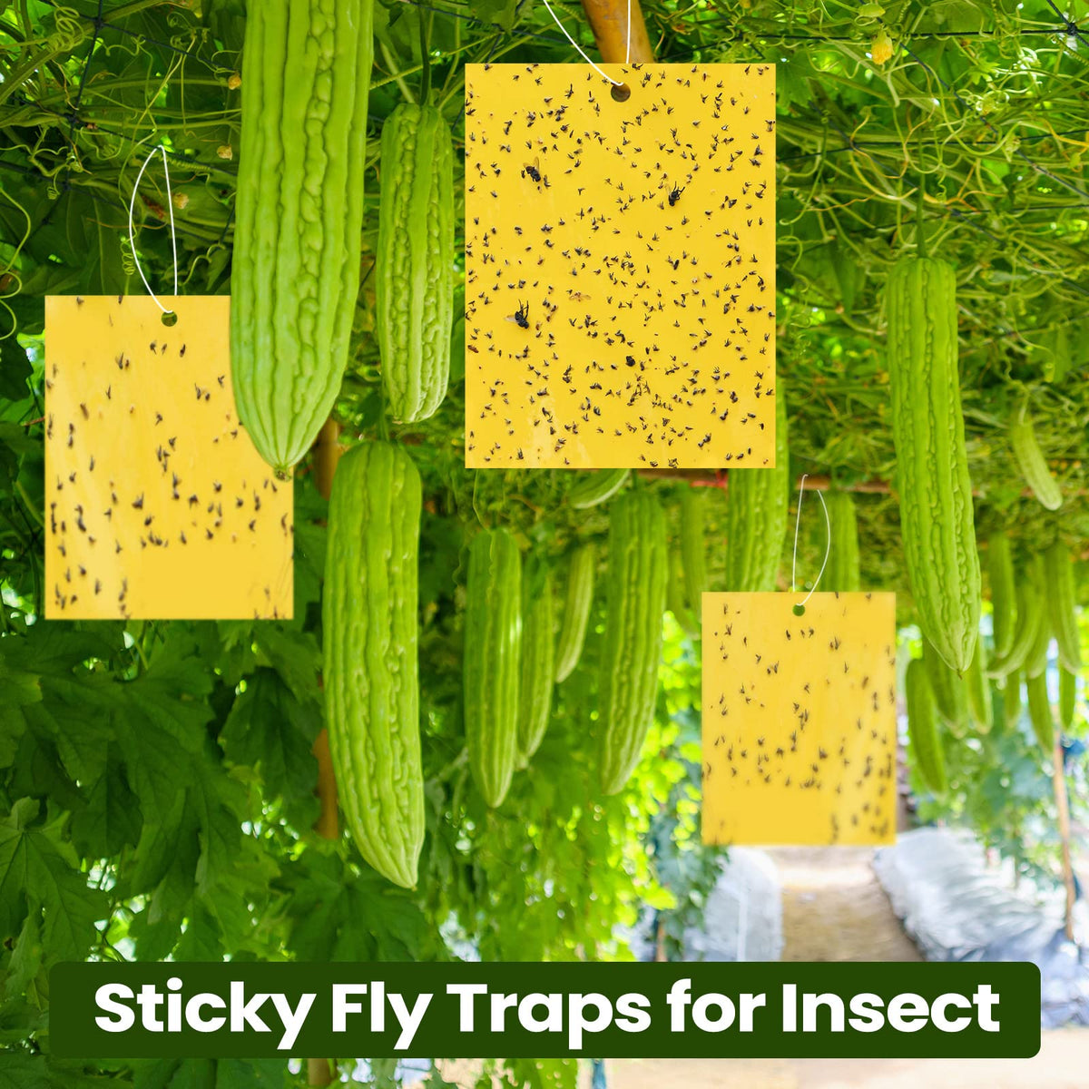 Qualirey yellow fly trap for indoor and outdoor use