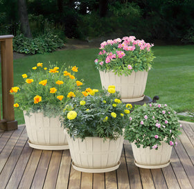 Quarut 10-inch pot offers large capacity for medium plants like herbs
