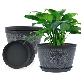 Quarut 10-inch flower pot with circle pattern enhances modern decor and plant health.