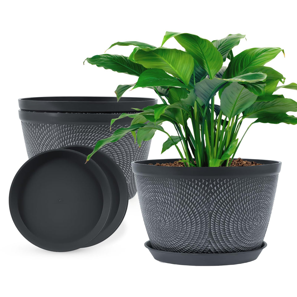 Quarut 10-inch flower pot with circle pattern enhances modern decor and plant health.