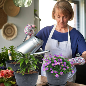 Quarut 10-inch flower pot with drainage holes keeps excess water away to support roots.