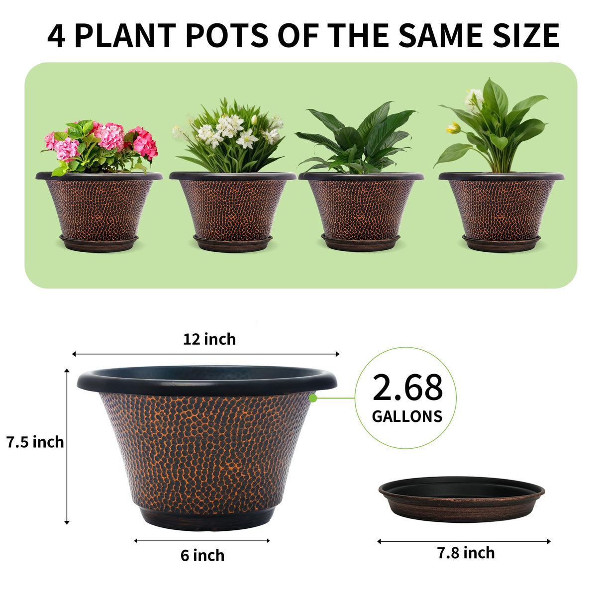 Quarut 12-inch pot shows drainage holes to prevent waterlogged roots.