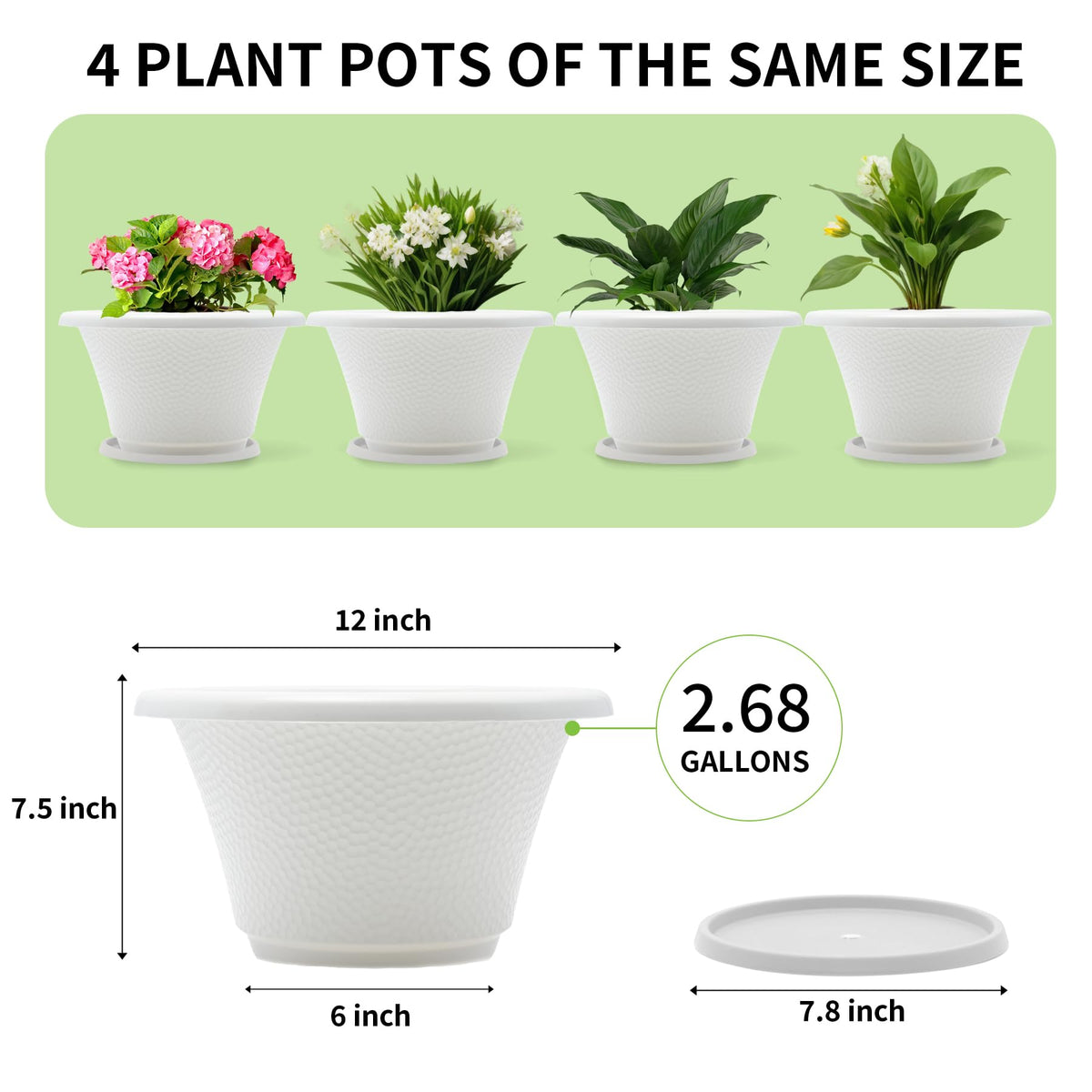 Quarut 12-inch pots paired with palms and herbs for a lush setup