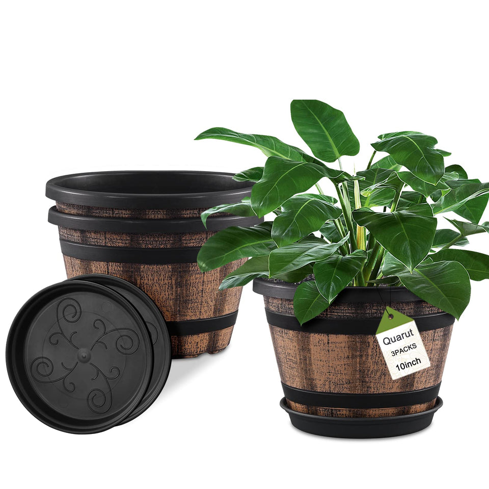 Quarut whiskey-barrel top-view plant pots add rustic charm to outdoor spaces.