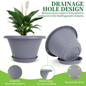 Quarut planter designed with drainage holes for healthy water management