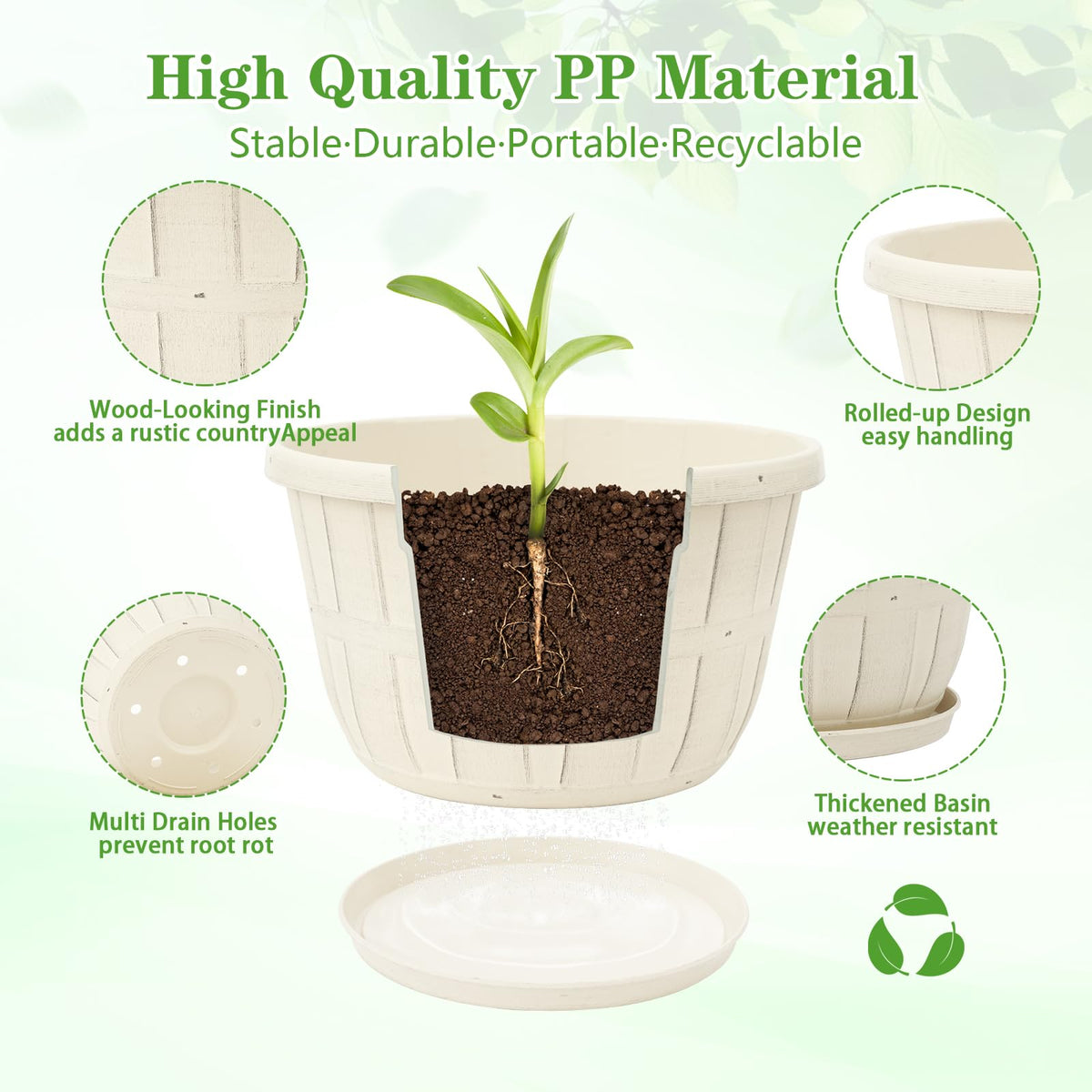 Quarut 10-inch pot with drainage holes and saucer supports healthy root air flow