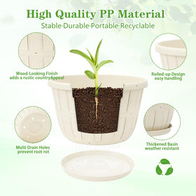 Quarut 10-inch pot with drainage holes and saucer supports healthy root air flow