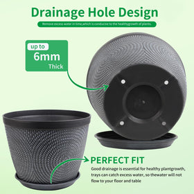 Quarut modern circle-pattern pot closeup enhances contemporary indoor spaces.
