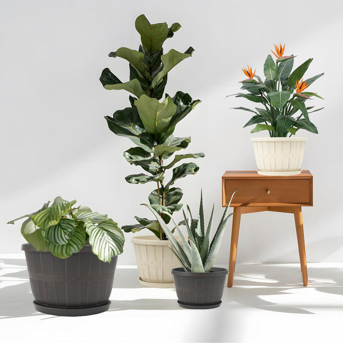 Quarut indoor-outdoor planter on a windowsill showcases plants with ease