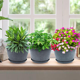 Quarut indoor-outdoor planter suits many houseplants and adds a contemporary touch.