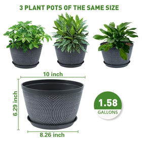 Quarut 10-inch planter is perfect for gifting and decorating living spaces.