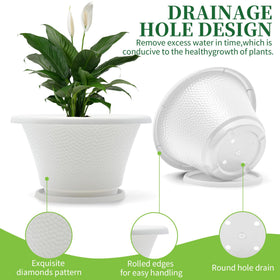 Quarut modern planters suitable for indoor and outdoor spaces