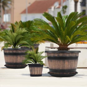 Quarut vintage-style planter completes indoor décor with natural texture.